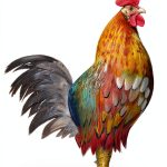 French Cooking Mastery with Harvest: A Comprehensive Guide-0
