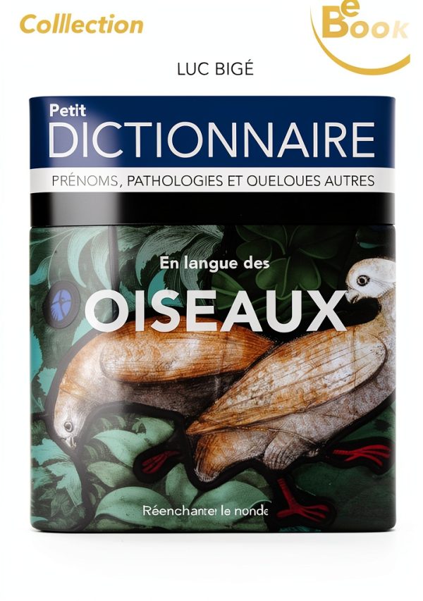 Réenchanter le monde French Reference eBook 2024 Edition-0