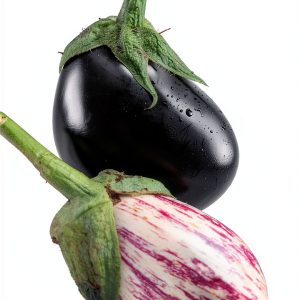 Edible Garden: Temperate Climate Gardening for Beginners-0